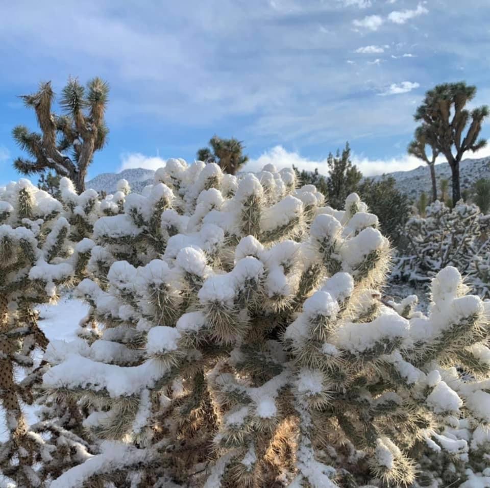 The Joshua Tree House Exterior foto