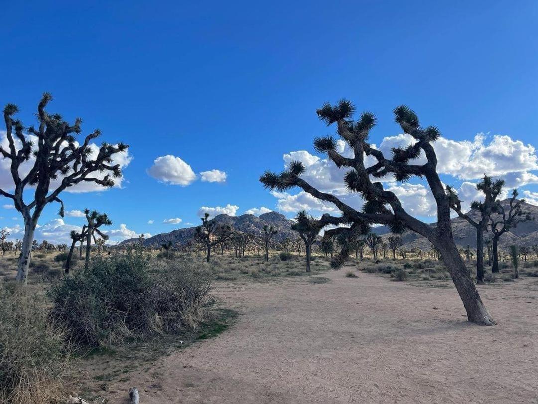 The Joshua Tree House Exterior foto
